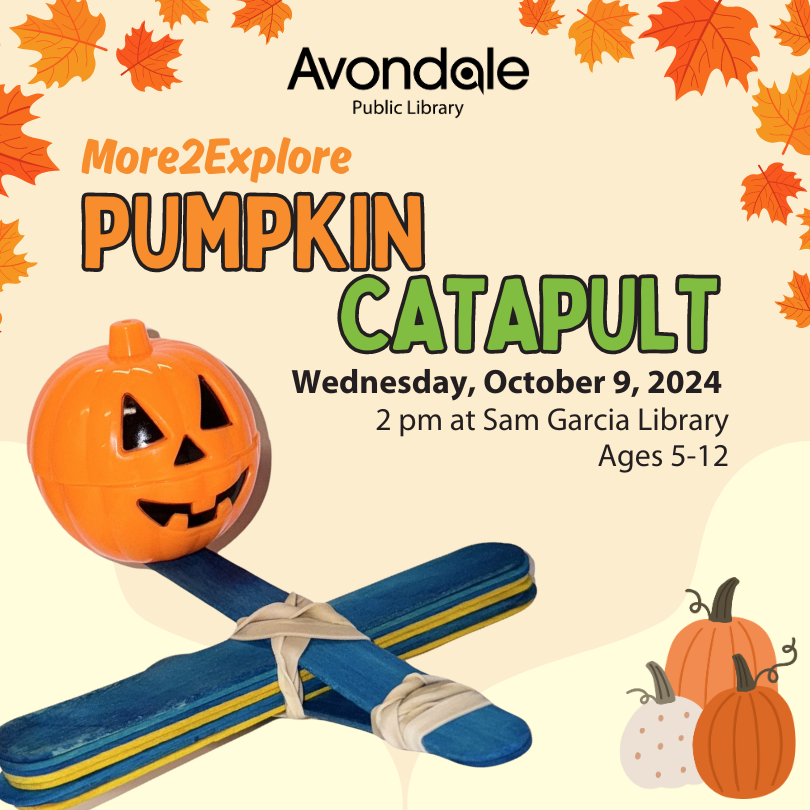 SG- M2E Pumpkin Catapult (1)