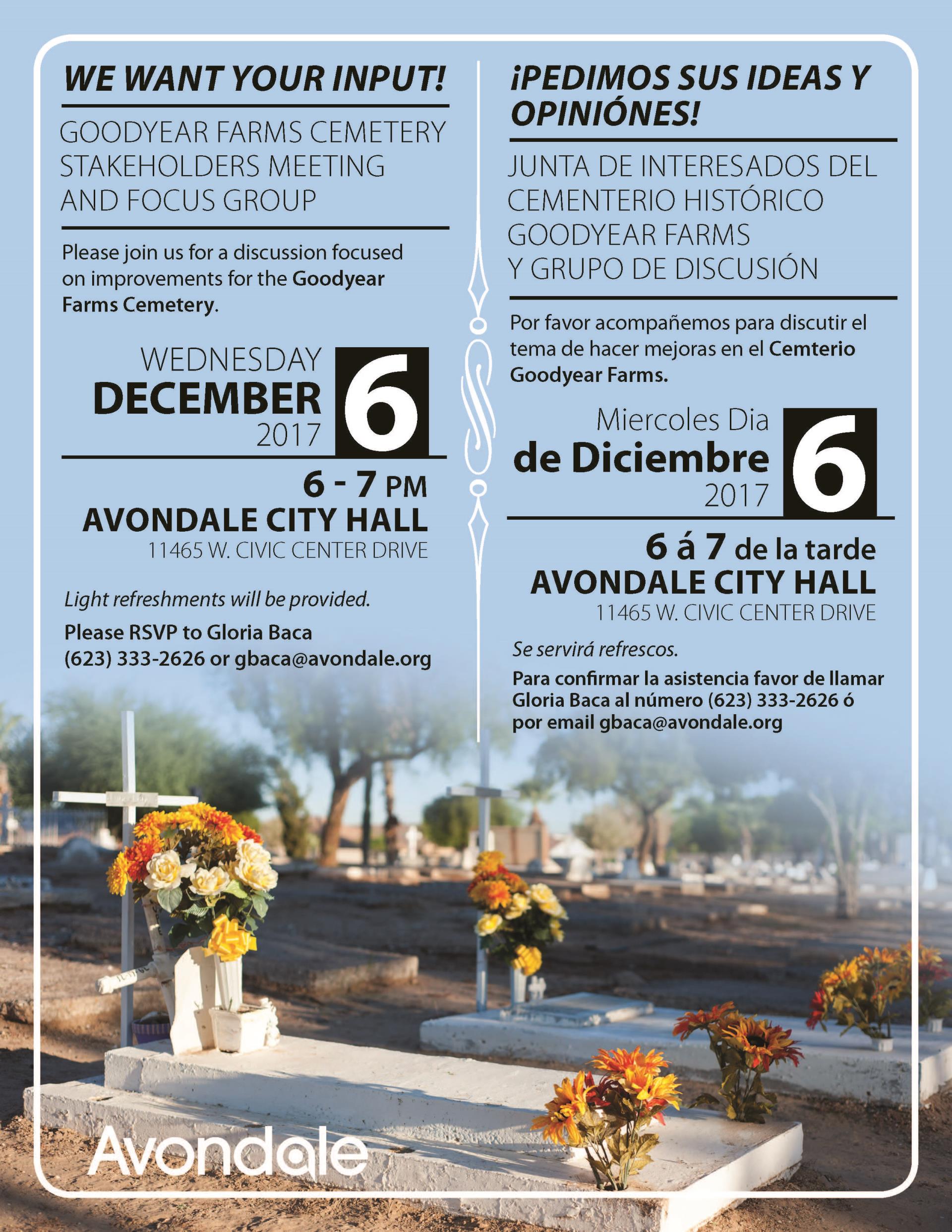 Avondale GYFC Public Meeting 2017